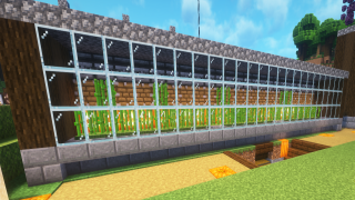 Sugarcane Farm